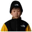 The North Face Kids Tnf Box Logo Cuffed Beanie sapka