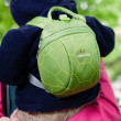 Gyerek hátizsák LittleLife Animal Toddler Turtle