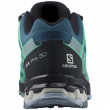 Salomon Xa Pro 3D V8 GTX W női cipő