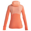 Icebreaker Women Merino 200 Realfleece™ Descender LS Zip Hoodie női funkcionális pulóver