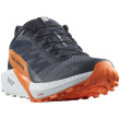 Salomon Sense Ride 5 Gore-Tex férfi futócipő