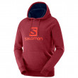 Férfi pulóver Salomon Logo Hoodie M piros
