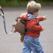 Gyerek hátizsák LittleLife Dinosaur