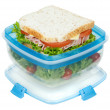 Ételtároló doboz Sistema Salad + Sandwich TO GO 1,63L