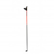 Blizzard XC Racing Carbon Poles - black/orange sífutó bot