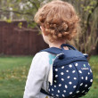 LittleLife Toddler Backpack, Ryba gyerek hátizsák