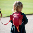 Gyerek hátizsák LittleLife Animal Toddler Backpack Dragon
