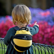 LittleLife Toddler Bee gyerek hátizsák