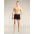 Icebreaker Mens Anatomica Boxers férfi boxer