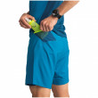 Dynafit Alpine Pro M 2/1 Shorts férfi rövidnadrág