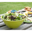 Müzlis tányér EcoSouLife Salad Bowl