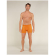 Icebreaker Mens Anatomica Boxers férfi boxer