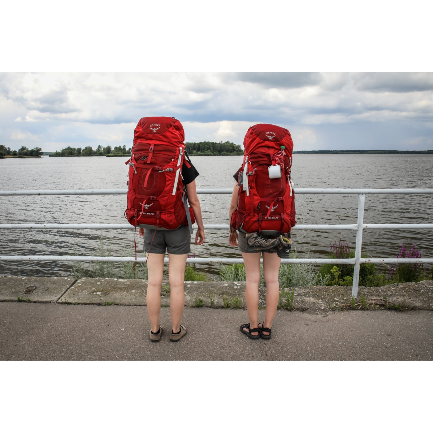 helly hansen dublin backpack