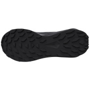 Salomon Alphaglide Gore-Tex női cipő