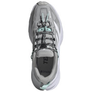 Adidas Terrex Freehiker Sl Gtx női cipő