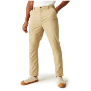 Regatta Dalry Trouser férfi nadrág