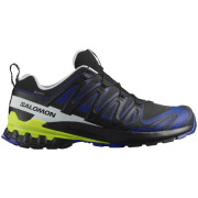 Salomon Xa Pro 3D V9 Gore-Tex férfi túracipő