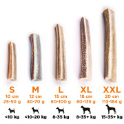 Explorer Dog Antler Chew easy játékszer kutyáknak