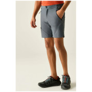 Regatta Xert Stretch Shorts férfi rövidnadrág