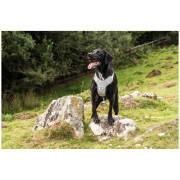 Mountain Paws Reflective Dog Harness kutyahám