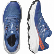 Salomon Ultra Flow 2 Gore-Tex férficipő