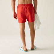 Regatta Mawson Swim Shorts III férfi fürdőnadrág