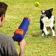 Nerf Dog Blaster + Tennis Balls 3 pcs játékszer kutyáknak