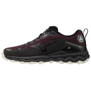 Mizuno Wave Daichi 6 Gtx női cipő