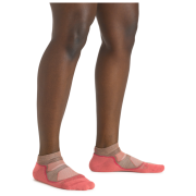 Darn Tough Light Hiker No Show Lightweight With Cushion női zokni