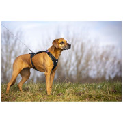 Curli Ultra Strong Pocket Leash kutyapóráz