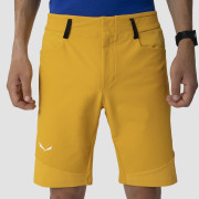 Salewa Agner Dst M Shorts. férfi rövidnadrág