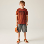 Dare 2b Trailbazer III Tee Arabian Spice gyerek póló