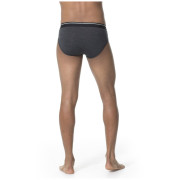 Férfi fecskealsó Icebreaker Mens Anatomica Briefs