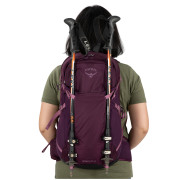 Túrahátizsák Osprey Sportlite 25