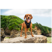 Mountain Paws Dog Harness kutyahám