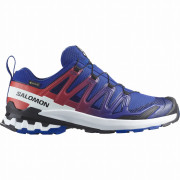 Salomon Xa Pro 3D V9 Gore-Tex Equipe férficipő