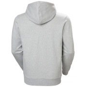 Helly Hansen Core Graphic Hoodie férfi pulóver
