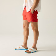 Regatta Mawson Swim Shorts III férfi fürdőnadrág