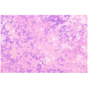 Wouki Aiki Dusty violet gyerek nadrág