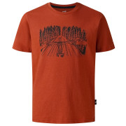 Dare 2b Trailbazer III Tee Arabian Spice gyerek póló barna ArabianSpice