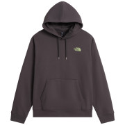 The North Face U Nse Slopes Relaxed Hoodie - Graphic férfi pulóver szürke ANTHRACITE GREY