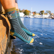 Darn Tough Wild Life Crew Lightweight With Cushion férfi zokni