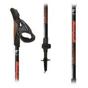 Fizan R-Evolution Pro nordic walking túrabot