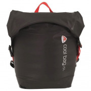 Chladící taška Robens Cool bag 15L fekete