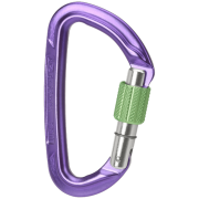 Wild Country Session Screw Gate karabiner lila purple/green