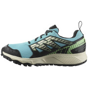 Salomon Wander Gore-Tex női futócipő