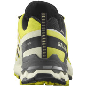 Salomon Xa Pro 3D V9 Gore-Tex férfi túracipő