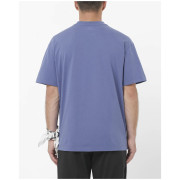 Salomon Wild Rays Label SS Tee férfi póló