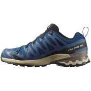 Salomon Xa Pro 3D V9 Gore-Tex férfi túracipő