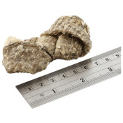 Fish4Dogs Dental Sea Jerky Fish Knots 100g jutalomfalatok kutyáknak